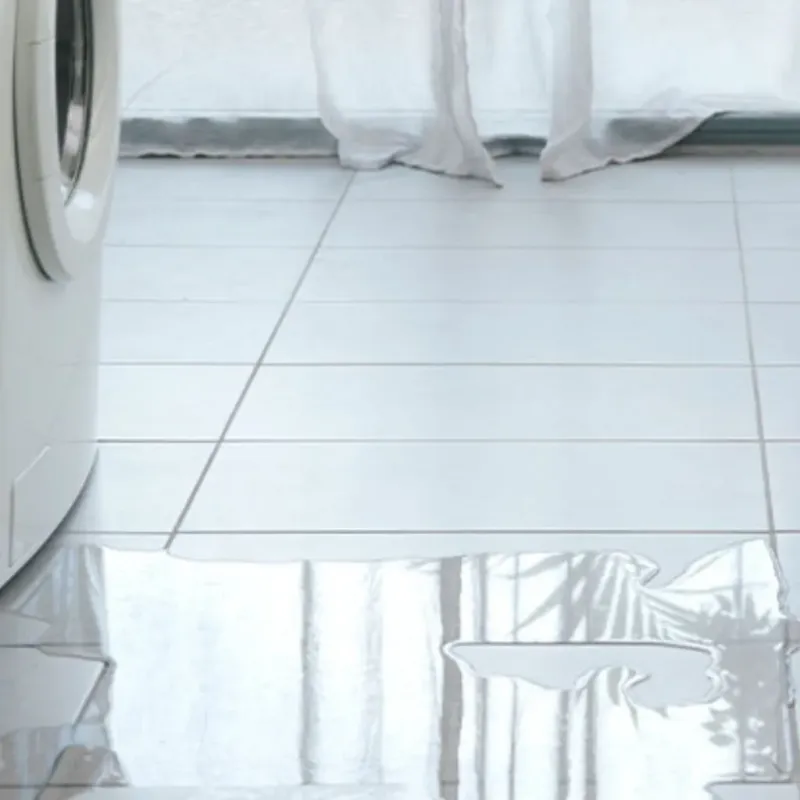 Appliance Leak Cleanup in Madisonville, TN