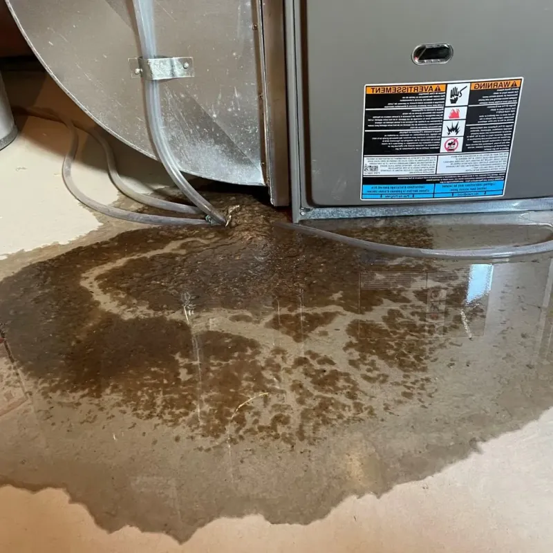 Pipe Burst and Leak Restoration in Madisonville, TN
