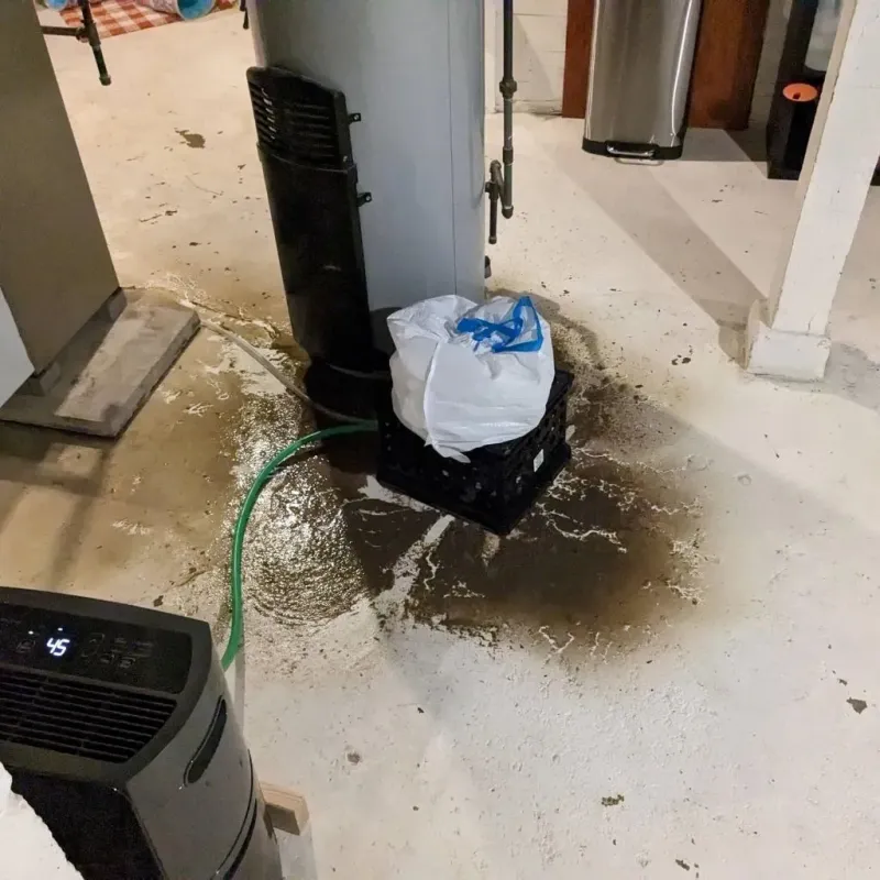 Sewage Backup Cleanup Service in Madisonville, TN